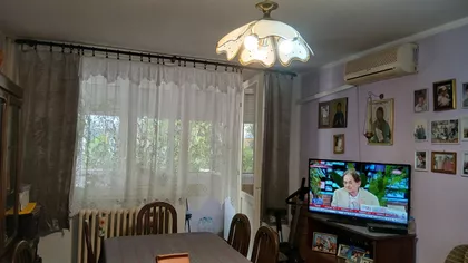 Molnar Đule | 4zida.rs
