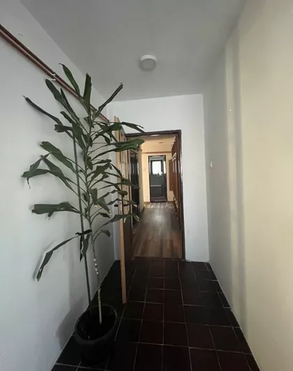 Zorice Božović | 4zida.rs