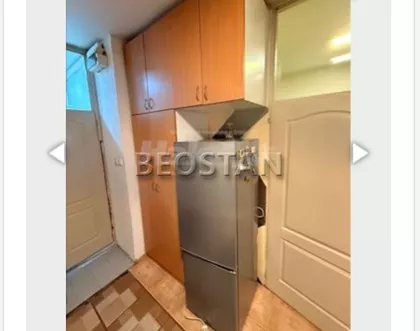 Dr Ivana Ribara | 4zida.rs