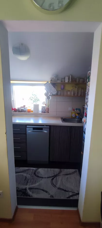 Pejton | 4zida.rs