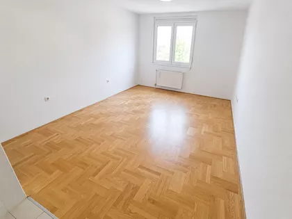 Teodora Pavlovića | 4zida.rs