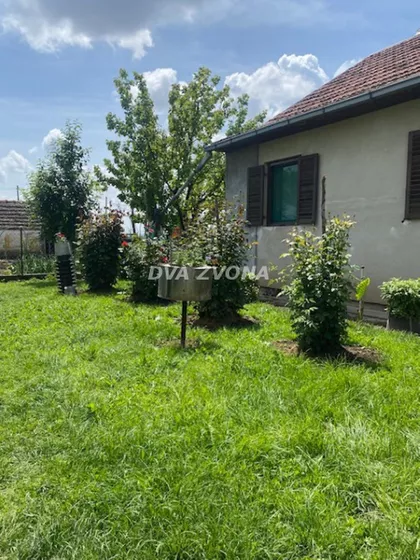 Čenej | 4zida.rs