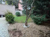 Telep, Gradske lokacije, Novi Sad | 4zida.rs