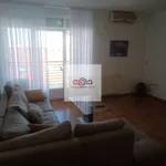 Novi Sad, Gradske lokacije, Stari Grad, Novi Sad - Centar | 4zida.rs | 4zida.rs