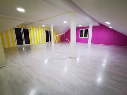 Čedomilja Mitrovića | 4zida.rs