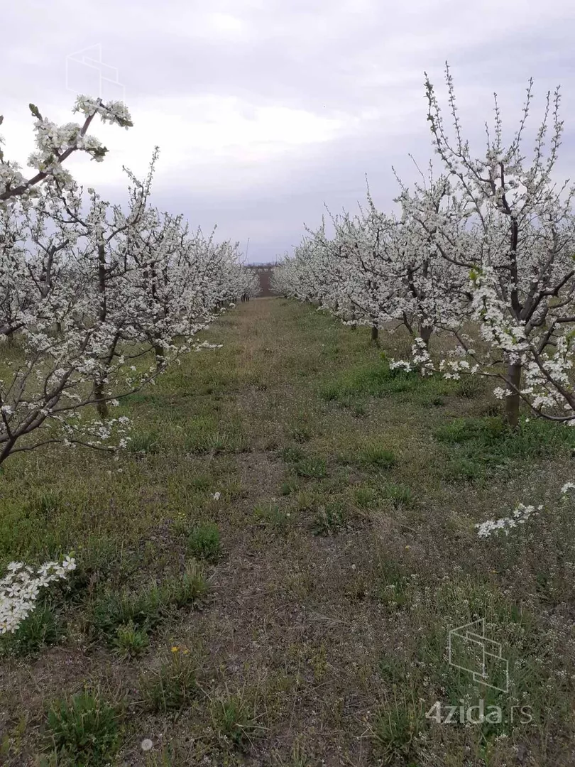 Poljoprivredno zemljište | 4zida