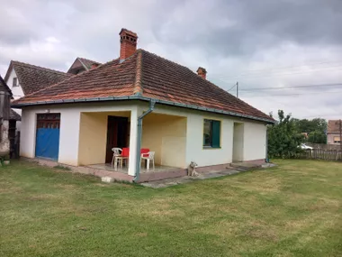 Glušci
