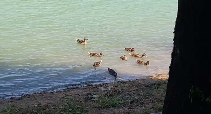 Poljoprivredno zemljište | 4zida