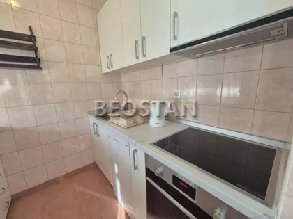 Dr Ivana Ribara | 4zida.rs