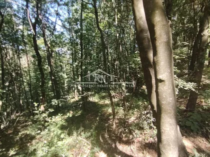 Rogača | 4zida.rs