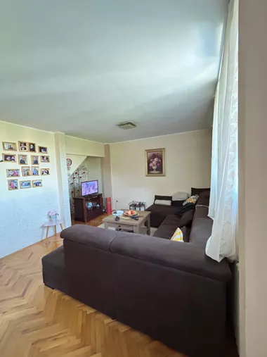 Stevana Opačića