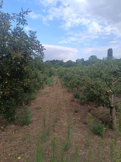Novi Grad | 4zida.rs