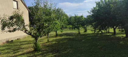 Vidovdanska | 4zida.rs