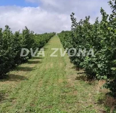 Poljoprivredno zemljište | 4zida