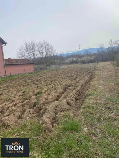 Nemanjina 15V1
