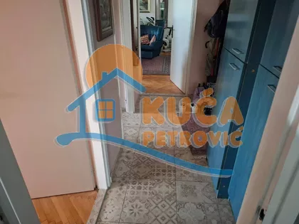 Bulevar dr Zorana | 4zida.rs