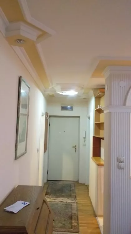 Miše Dimitrijevića | 4zida.rs