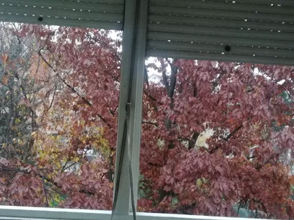 Radovana Simića Cige 19 | 4zida.rs