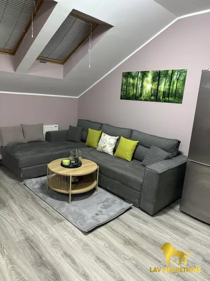 MIŠE DIMITRIJEVIĆA | 4zida.rs