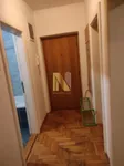 Rotkvarija, Gradske lokacije, Novi Sad | 4zida.rs | 4zida.rs