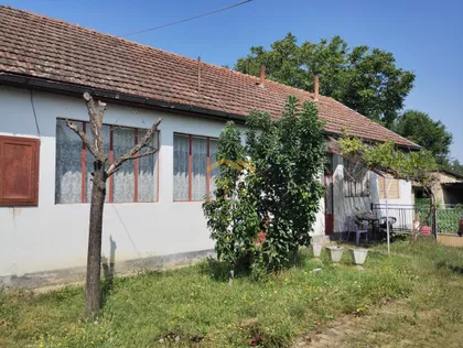 Budisava | 4zida.rs