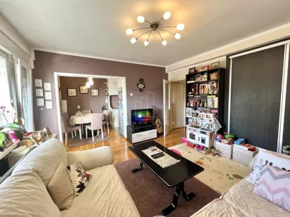 Pilota Mihaila Petrovića | 4zida.rs