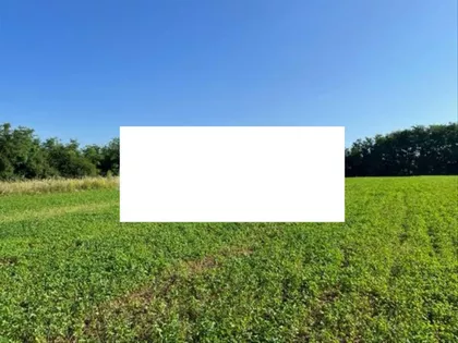 Kralja Aleksandra | 4zida.rs