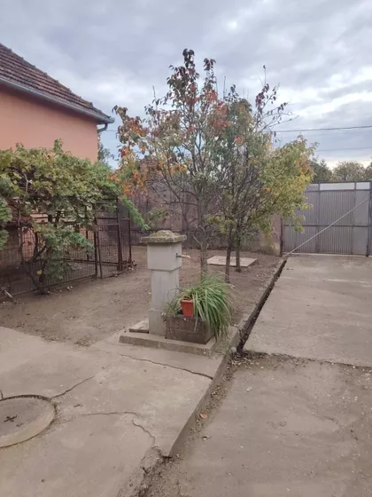 Bačinci | 4zida.rs
