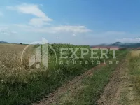 Čamurlija, Okolne lokacije, Niš | 4zida.rs