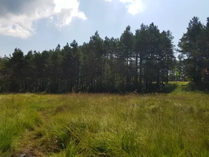 Žujanova | 4zida.rs