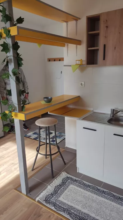 VASE OSTOJIĆA | 4zida.rs