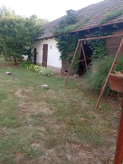 Svetozara Miletića | 4zida.rs