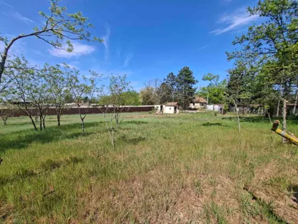 Makova Sedmica | 4zida.rs