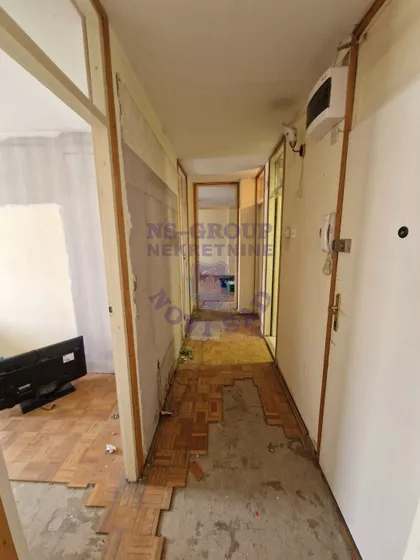 Dr Ivana Ribara | 4zida.rs