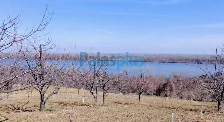 Poljoprivredno zemljište | 4zida