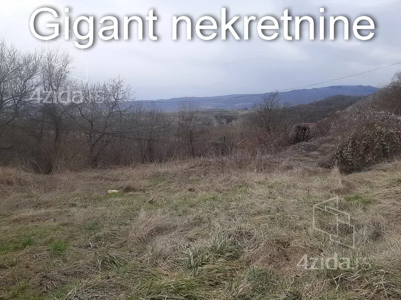 Plac | 4zida