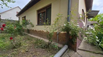 Pačir | 4zida.rs