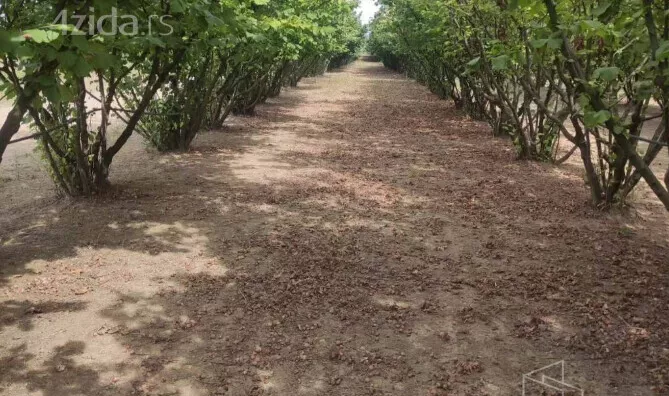 Poljoprivredno zemljište | 4zida