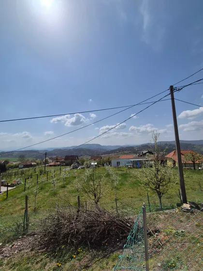 Negrišori  | 4zida.rs