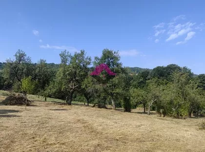 Progoreoci | 4zida.rs