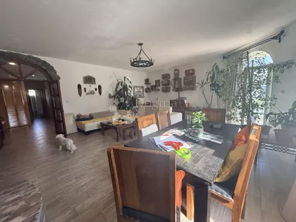 Pere Velimirovića | 4zida.rs