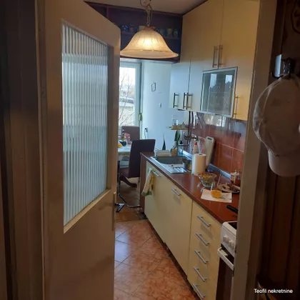 Triše Kaclerovića | 4zida.rs