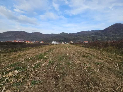 Zvornički Put | 4zida.rs