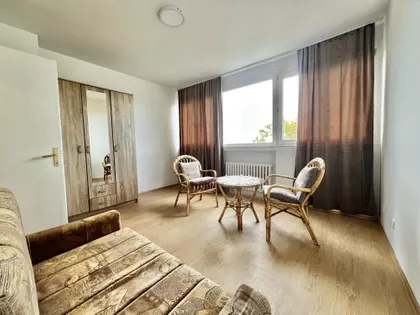 Nikodima Milaša | 4zida.rs