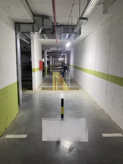 Rotkvarija | 4zida.rs