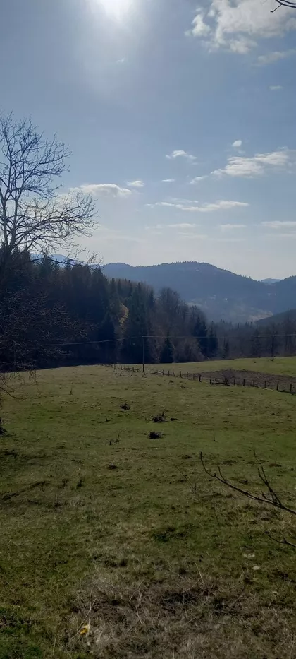 Zaovine | 4zida.rs