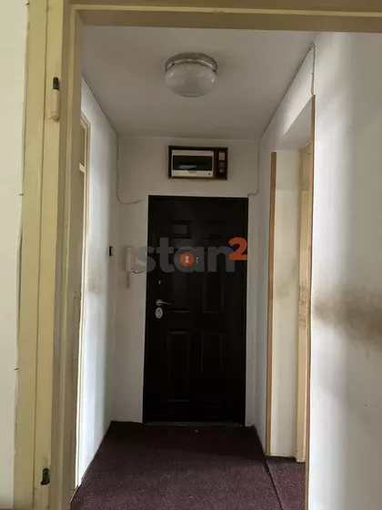 Crveni Pevac | 4zida.rs