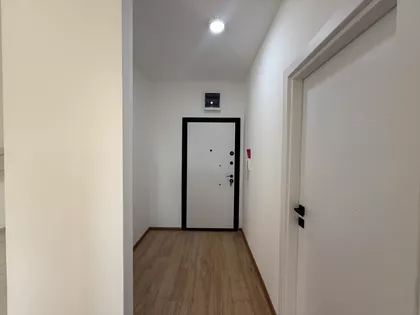 Orlovićeva | 4zida.rs