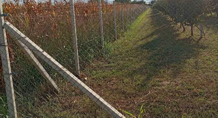 Poljoprivredno zemljište | 4zida