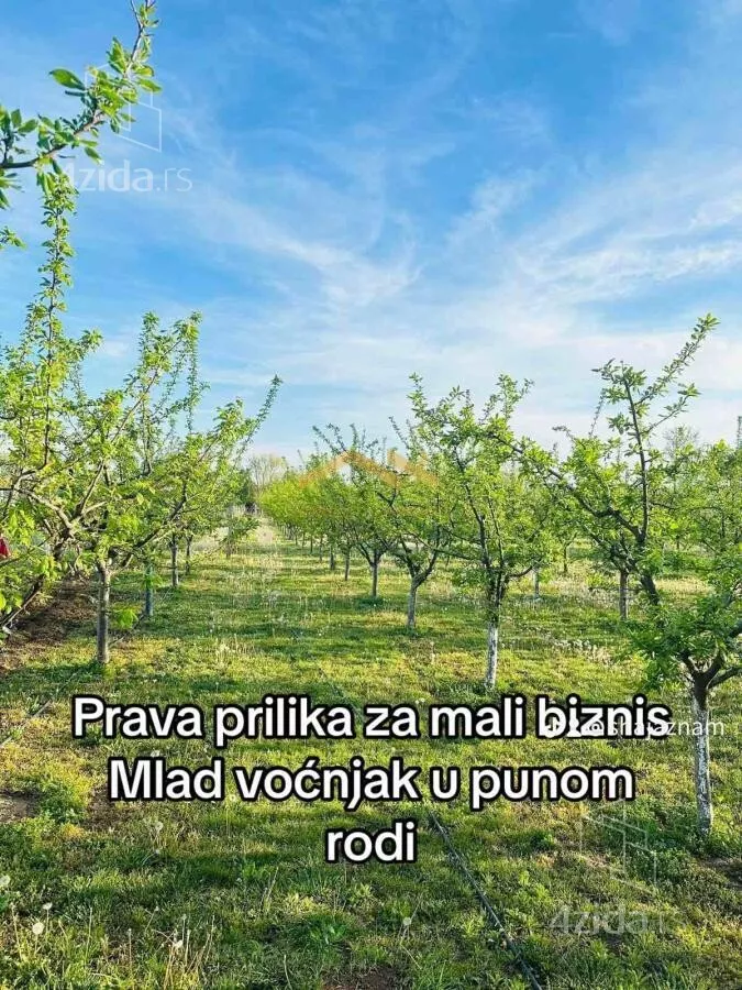 Plac | 4zida